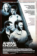 Watch Animal Kingdom Gomovies