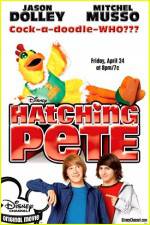 Watch Hatching Pete Gomovies