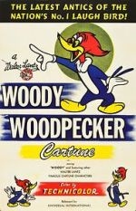 Watch The Woody Woodpecker Polka Gomovies