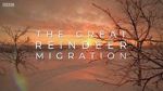 Watch All Aboard! The Great Reindeer Migration Gomovies