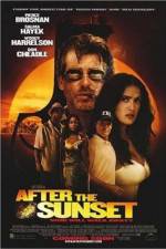 Watch After the Sunset Gomovies