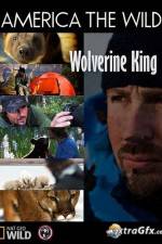 Watch National Geographic Wild America the Wild Wolverine King Gomovies
