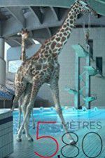 Watch 580 m�tres Gomovies