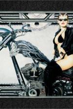 Watch Run Angel Run Gomovies