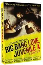 Watch Big Bang Love Juvenile A Gomovies