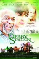 Watch The Derby Stallion Gomovies