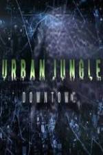 Watch National Geographic Wild Urban Jungle Downtown Gomovies