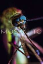 Watch Mosquito Gomovies