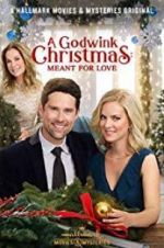 Watch A Godwink Christmas: Meant for Love Gomovies