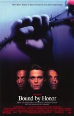 Watch Blood In, Blood Out Gomovies