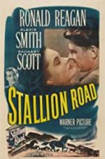 Watch Stallion Road Gomovies