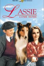 Watch Lassie Come Home Gomovies