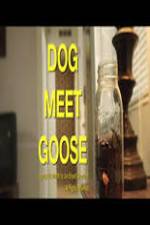 Watch Dog Meet Goose Gomovies