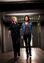 Watch The Good Mother Gomovies