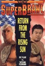 Watch WCW SuperBrawl I Gomovies