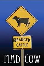 Watch Mad Cow Gomovies