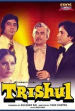 Watch Trishul Gomovies