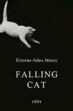 Watch Falling Cat Gomovies