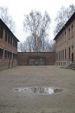 Watch Made in Auschwitz: The Untold Story of Block 10 Gomovies