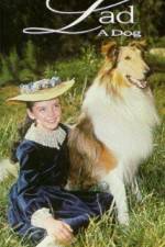 Watch Lad A Dog Gomovies