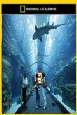 Watch National Geographic Megastructures Dubai Mega Mall Gomovies