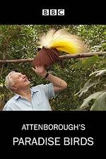 Watch Attenborough's Paradise Birds Gomovies