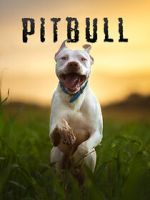 Watch Pitbull Gomovies