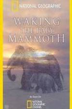 Watch Waking the Baby Mammoth Gomovies