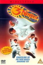 Watch 3 Ninjas Knuckle Up Gomovies