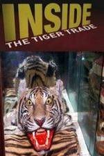 Watch Inside: The Tiger Trade Gomovies
