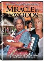 Watch Miracle in the Woods Gomovies