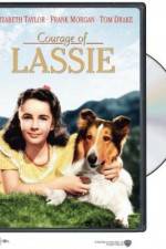 Watch Courage of Lassie Gomovies