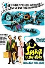 Watch The Spirit Is Willing Gomovies