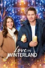 Watch Love in Winterland Gomovies