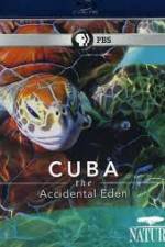 Watch Cuba: The Accidental Eden Gomovies