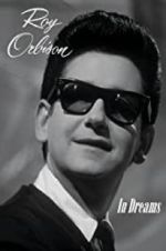 Watch In Dreams: The Roy Orbison Story Gomovies
