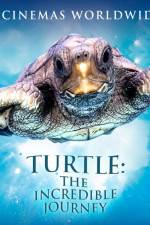 Watch Turtle The Incredible Journey Gomovies