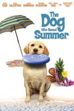 Watch The Dog Who Saved Summer Gomovies