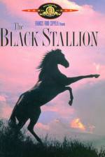 Watch The Black Stallion Gomovies