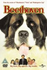 Watch Beethoven Gomovies