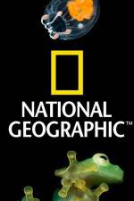 Watch National Geographic Wild Dam Beavers Gomovies