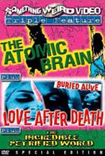 Watch Love After Death Gomovies
