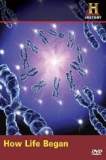 Watch How Life Began Gomovies