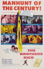 Watch The Brothers Rico Gomovies