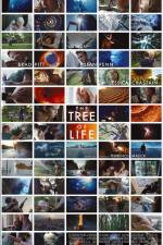 Watch The Tree of Life Gomovies