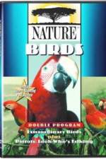 Watch PBS Nature - Extraordinary Birds Gomovies