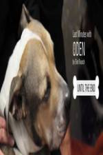 Watch Last Minutes with ODEN Gomovies