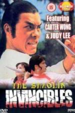 Watch Yong zheng ming zhang Shao Lin men Gomovies