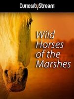 Watch Wild Horses of the Marshes Gomovies