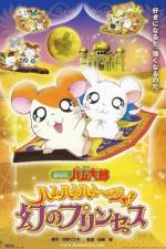 Watch Hamtaro: The Captive Princess Gomovies